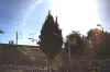 Outside Berala Station.jpg (71836 bytes)