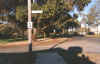 morley dr at korbosky park.jpg (117482 bytes)