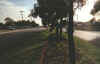 morley dr towards ivanhoe st.jpg (89568 bytes)