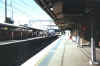 Lidcombe Station Platform.jpg (91494 bytes)