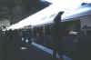 Train at Lidcombe Station.jpg (53340 bytes)