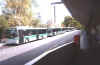 buses at wellington st bus station.jpg (86743 bytes)