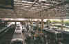 perth station during peak hour.jpg (100483 bytes)